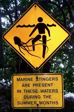 Stinger Warning Sign