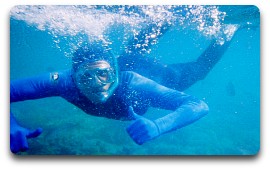 Lycra Stinger Swim suits with hood